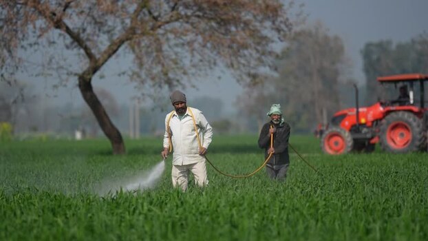 View of farmers spraying pesticides on a green field India. View of farmers spraying pesticides on a green field India.