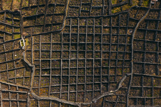 Aerial view of traditional stone walled vineyards with geometric patterns of volcanic rock currais Biscoitos Azores Portugal. Aerial view of traditional stone walled vineyards with geometric patterns of volcanic rock currais Biscoitos Azores Portugal.