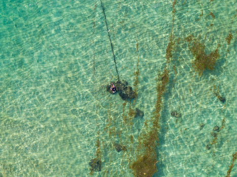 Aerial view of a person fishing in the clear shallow waters of the coast surrounded by patches of seaweed and sandy seabed in Kecamatan Denpasar Selatan Bali Indonesia.