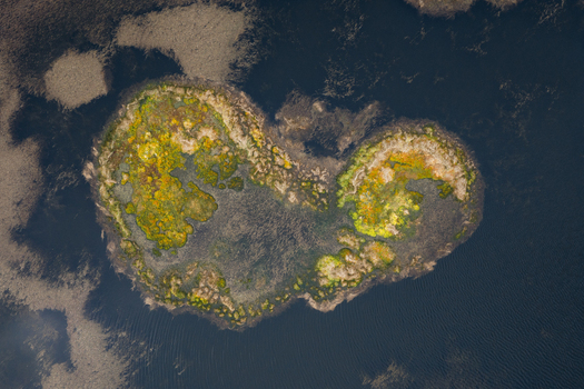 Aerial view of the heart shaped Caldeira Branca island with vibrant green and yellow vegetation surrounded by dark water in Faja Grande Azores Portugal. Aerial view of the heart shaped Caldeira Branca island with vibrant green and yellow vegetation surrounded by dark water in Faja Grande Azores Portugal.