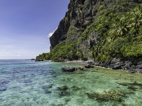 Aerial view of Playa Fronton featuring turquoise waters rocky cliffs and lush palm trees under a clear blue sky in Samana Samana Dominican Republic. Aerial view of Playa Fronton featuring turquoise waters rocky cliffs and lush palm trees under a clear blue sky in Samana Samana Dominican Republic.