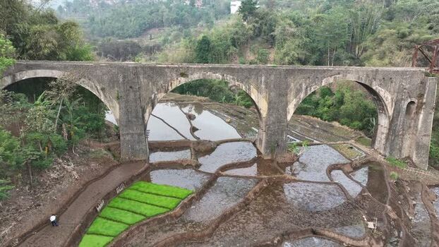 Aerial view of stone bridge over rice paddies in Indonesia. Aerial view of stone bridge over rice paddies in Indonesia.