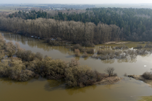 Aerial view of a flooded river landscape with murky brown water surrounding leafless trees and a dense forest under an overcast sky in Kaniukai Kaunas County Lithuania. Aerial view of a flooded river landscape with murky brown water surrounding leafless trees and a dense forest under an overcast sky in Kaniukai Kaunas County Lithuania.
