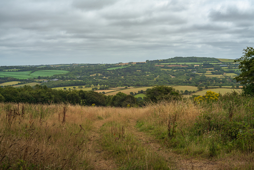 View of the rolling green hills and patchwork fields of the Cornish countryside under a cloudy sky in Bodmin Cornwall United Kingdom. View of the rolling green hills and patchwork fields of the Cornish countryside under a cloudy sky in Bodmin Cornwall United Kingdom.