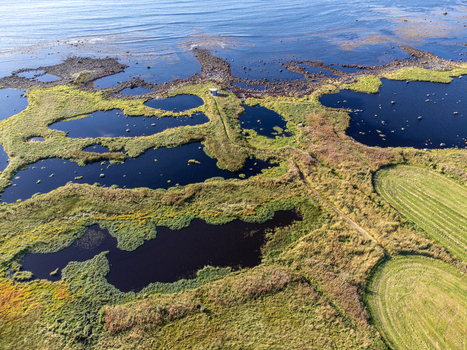 Aerial view of dark blue pools mirrored in the landscape interspersed with vibrant green grasses Marmelkroken bird spotting Nordland Norway.