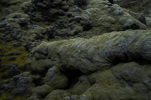 View of rugged moss covered lava fields creating an otherworldly landscape textures and muted greens defining a unique natural environment Skaftárhreppur Iceland. View of rugged moss covered lava fields creating an otherworldly landscape textures and muted greens defining a unique natural environment Skaftárhreppur Iceland.