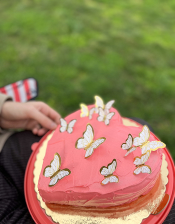 View of a heart shaped pink cake decorated with delicate white and gold butterflies held by a person outdoors on a green lawn Beylikduzu Istanbul Turkiye. View of a heart shaped pink cake decorated with delicate white and gold butterflies held by a person outdoors on a green lawn Beylikduzu Istanbul Turkiye.