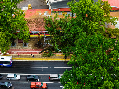 Riga Latvia 23 August 2026 Aerial view of a large tree fallen across a sidewalk and bike path blocking the pedestrian walkway near a busy road with cars and a bus.