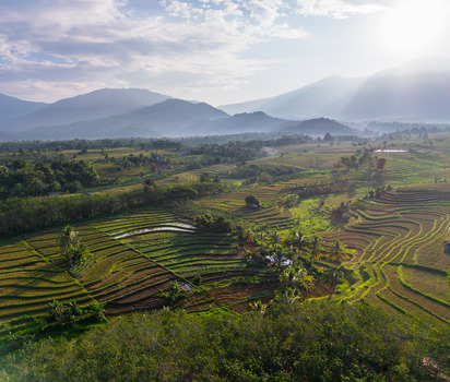 Aerial view of Kemumu rice terraces with lush green paddies rolling hills and distant mountains under a bright sky in Arma Jaya Bengkulu Indonesia. Aerial view of Kemumu rice terraces with lush green paddies rolling hills and distant mountains under a bright sky in Arma Jaya Bengkulu Indonesia.