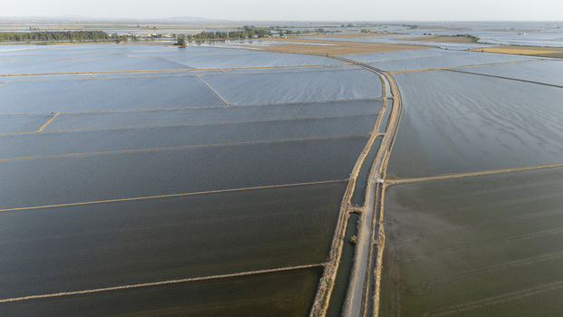 Aerial view of the flooded rice fields and irrigation canals of Isla Minima under a clear sky in Coria del Rio Andalusia Spain. Aerial view of the flooded rice fields and irrigation canals of Isla Minima under a clear sky in Coria del Rio Andalusia Spain.