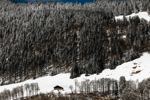 View of a lone cozy cabin nestled amidst snow dusted trees a serene winter scene unfolding from the train window Train from Lucerne to Interlaken Switzerland. View of a lone cozy cabin nestled amidst snow dusted trees a serene winter scene unfolding from the train window Train from Lucerne to Interlaken Switzerland.