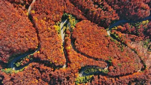 Aerial view of winding road in Carpathian Mountains Romania. Aerial view of winding road in Carpathian Mountains Romania.