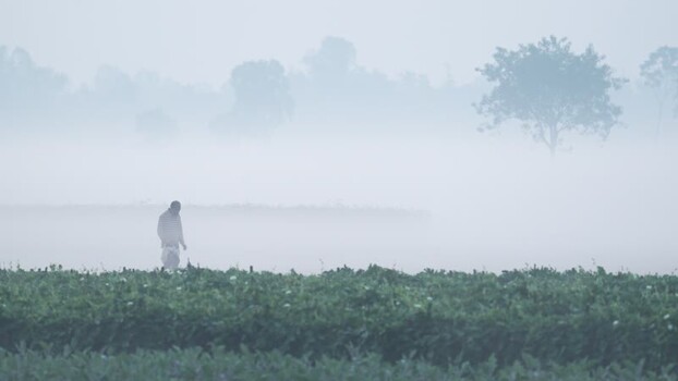 View of a man walking in a foggy field in Bogura Bangladesh. View of a man walking in a foggy field in Bogura Bangladesh.