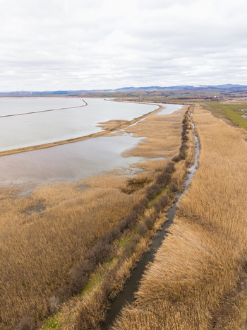 Aerial view of Lake Atanasovsko featuring golden reeds a narrow water canal and distant hills under an overcast sky in Burgas Burgas Bulgaria. Aerial view of Lake Atanasovsko featuring golden reeds a narrow water canal and distant hills under an overcast sky in Burgas Burgas Bulgaria.