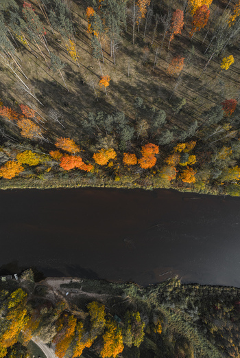 Aerial view of the Gauja River flowing through a dense forest with vibrant autumn foliage in Sigulda Sigulda Municipality Latvia. Aerial view of the Gauja River flowing through a dense forest with vibrant autumn foliage in Sigulda Sigulda Municipality Latvia.