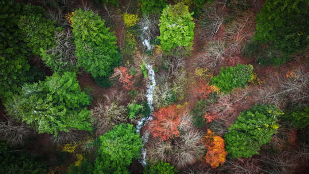 Aerial view of a vibrant tapestry of green and amber trees interspersed with a silvery stream snaking through the landscape Gex Auvergne Rhône Alpes France. Aerial view of a vibrant tapestry of green and amber trees interspersed with a silvery stream snaking through the landscape Gex Auvergne Rhône Alpes France.