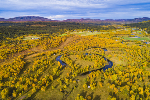 Aerial view of the Ljusnan river winding through the vibrant autumn forest and meadows of Bruksvallarna Jamtland County Sweden. Aerial view of the Ljusnan river winding through the vibrant autumn forest and meadows of Bruksvallarna Jamtland County Sweden.