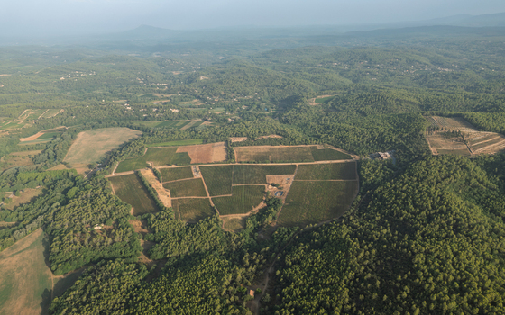 Aerial view of vineyards surrounded by dense forests and rolling hills in Provence Alpes Cote d Azur France.