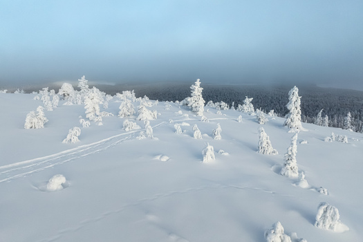 Aerial view of Yllas fell covered in deep snow with frost laden spruce trees and a ski track winding through the winter landscape in Kolari Lapland Finland. Aerial view of Yllas fell covered in deep snow with frost laden spruce trees and a ski track winding through the winter landscape in Kolari Lapland Finland.