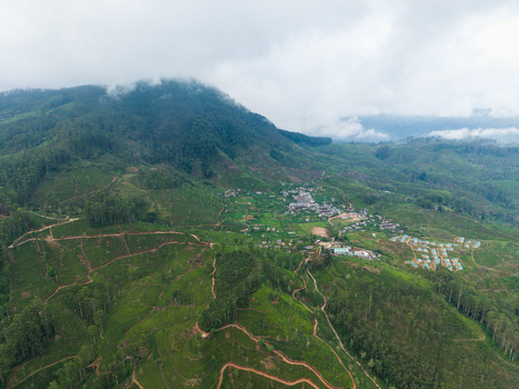 Aerial view of lush green tea plantations and a small village nestled among misty mountain peaks and winding paths in Nallathanniya Central Province Sri Lanka. Aerial view of lush green tea plantations and a small village nestled among misty mountain peaks and winding paths in Nallathanniya Central Province Sri Lanka.