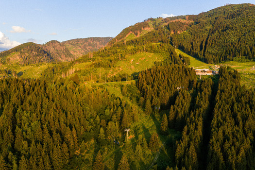 Aerial view of the dense coniferous forests of Fiemme Valley during golden hour featuring ski lift infrastructure and mountain slopes in Trentino Alto Adige Italy.