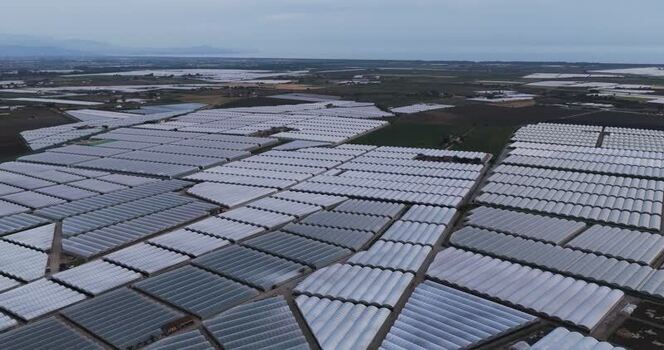 Aerial view of vast agricultural greenhouses in Italy.