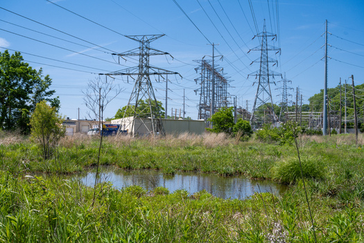 View of high voltage power lines and transmission towers standing over a small pond and lush green grass in Greentree Park Kirkwood Missouri United States. View of high voltage power lines and transmission towers standing over a small pond and lush green grass in Greentree Park Kirkwood Missouri United States.