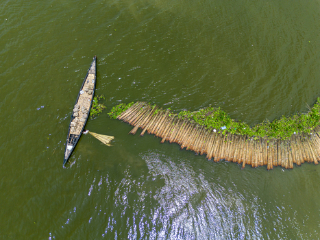 Natore Bangladesh 25 July 2026 Aerial view of a traditional wooden boat loaded with jute stalks floating on the water near a submerged harvest area in Natore.