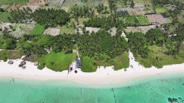 Aerial view of lush palm trees and a white sand beach in Thoddoo Maldives. Aerial view of lush palm trees and a white sand beach in Thoddoo Maldives.