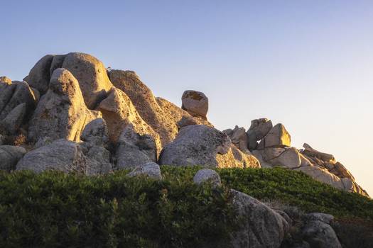 View of the unique granite rock formations of Capo Testa illuminated by golden hour light with green shrubs and a clear sky Capo Testa Sardegna Italy. View of the unique granite rock formations of Capo Testa illuminated by golden hour light with green shrubs and a clear sky Capo Testa Sardegna Italy.