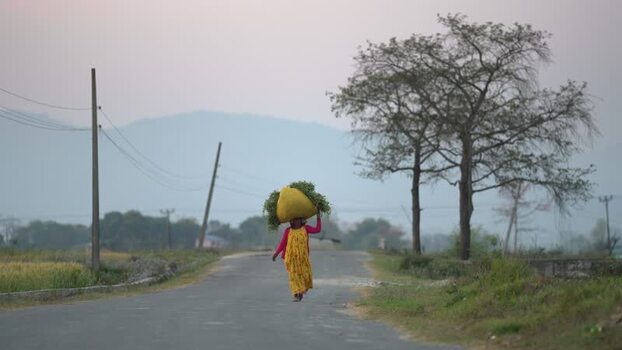 View of a woman carrying a bundle on her head in Dhangadhi Nepal. View of a woman carrying a bundle on her head in Dhangadhi Nepal.