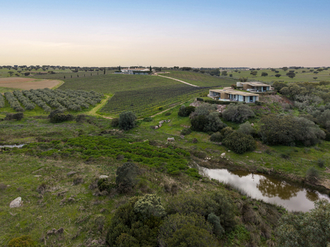 Albernoa Portugal 17 March 2026 Aerial view of modern villas nestled on a hillside overlooking lush vineyards olive groves and a tranquil pond in the Alentejo countryside. Albernoa Portugal 17 March 2026 Aerial view of modern villas nestled on a hillside overlooking lush vineyards olive groves and a tranquil pond in the Alentejo countryside.