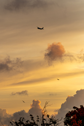 View of a plane flying through a golden sunset sky above the historic North Field Base in Northern Tinian Tinian Northern Mariana Islands. View of a plane flying through a golden sunset sky above the historic North Field Base in Northern Tinian Tinian Northern Mariana Islands.