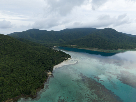 Aerial view of the vibrant turquoise waters meeting the lush green coastline near Bobby Beach Karimunjawa Central Java Indonesia.