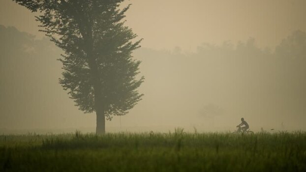 View of a person cycling through a misty field at dawn Bangladesh.