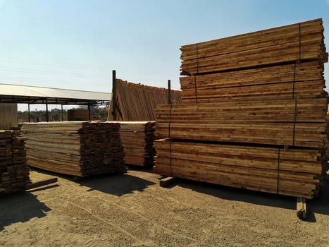 View of a timber yard with neatly stacked wooden planks and poles for air drying in Pretoria Gauteng South Africa. View of a timber yard with neatly stacked wooden planks and poles for air drying in Pretoria Gauteng South Africa.
