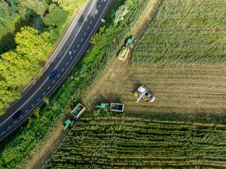 Aerial view of tractors harvesting crops at the Gorreana Tea Plantation next to a winding road with cars in Maia Acores Portugal.