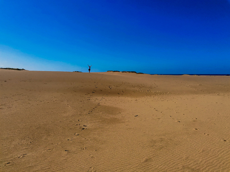View of a person standing with arms raised on vast sand dunes under a clear blue sky in Saint Lucia KwaZulu Natal South Africa. View of a person standing with arms raised on vast sand dunes under a clear blue sky in Saint Lucia KwaZulu Natal South Africa.