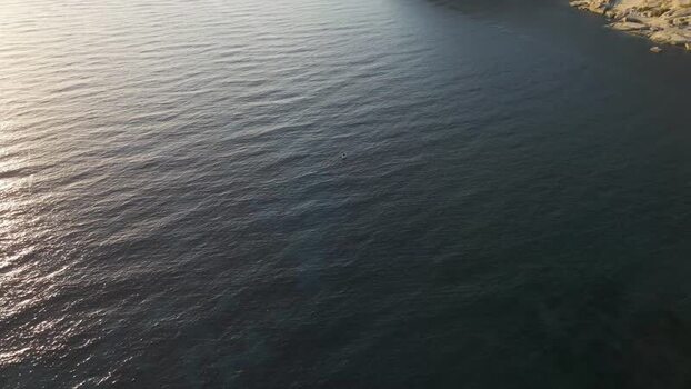 Aerial View of Lacona bay at sunset Elba Island Tuscany Italy.