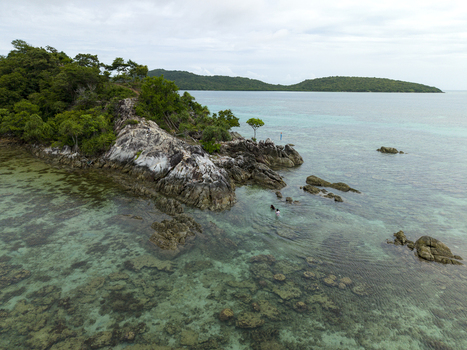 Aerial view of the rugged rocky shoreline where turquoise waters meet the lush greenery of Annora beach Karimunjawa Jawa Tengah Indonesia.