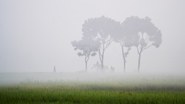 View of people walking through thick mist in Bogura Bangladesh.