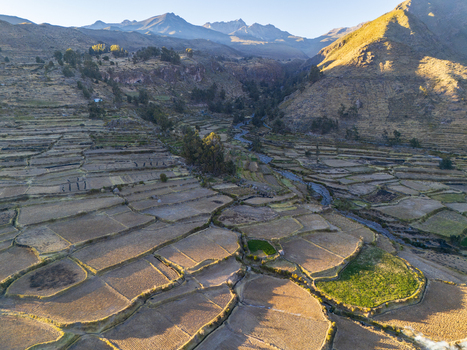 Aerial view of agricultural terraces in the Andes mountains with a winding stream and golden hour light in Cabanaconde Arequipa Peru. Aerial view of agricultural terraces in the Andes mountains with a winding stream and golden hour light in Cabanaconde Arequipa Peru.