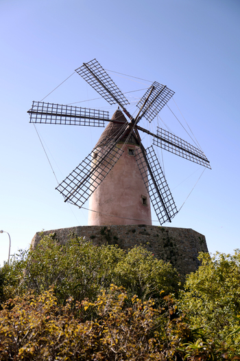 View of a traditional windmill with large wooden blades set on a stone base amidst lush green foliage under a clear blue sky in Mallorca Balearic Islands Spain.