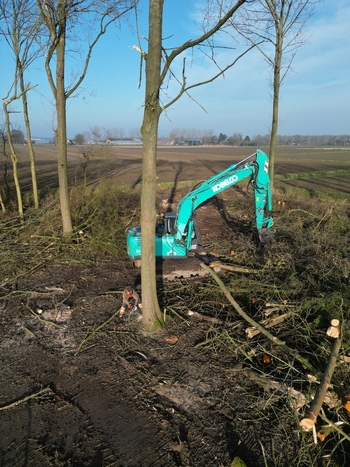 Netherlands 06 July 2026 Aerial view of a Kobelco excavator and a worker using a chainsaw to clear trees in a rural field. Netherlands 06 July 2026 Aerial view of a Kobelco excavator and a worker using a chainsaw to clear trees in a rural field.