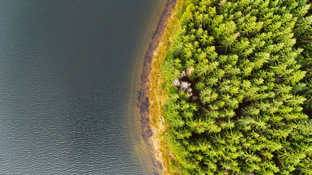 Aerial view of dense coniferous forest bordering a calm lake in Transylvania Romania.