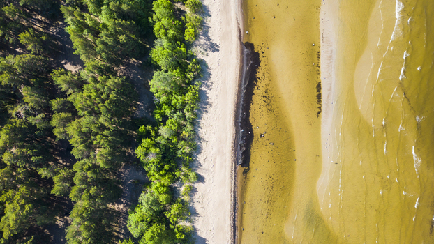 Aerial view of where the stark contrast of the lush forest meets the sandy beach and shallow waters Pärnu Pärnu County Estonia. Aerial view of where the stark contrast of the lush forest meets the sandy beach and shallow waters Pärnu Pärnu County Estonia.