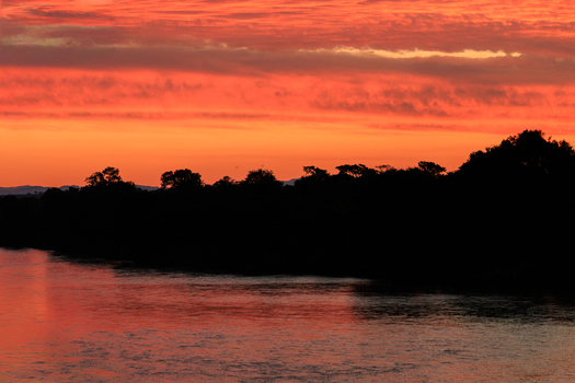 View of an orange and red sunset over the Sabie River with silhouettes of trees at Kruger National Park in Skukuza Mpumalanga South Africa. View of an orange and red sunset over the Sabie River with silhouettes of trees at Kruger National Park in Skukuza Mpumalanga South Africa.