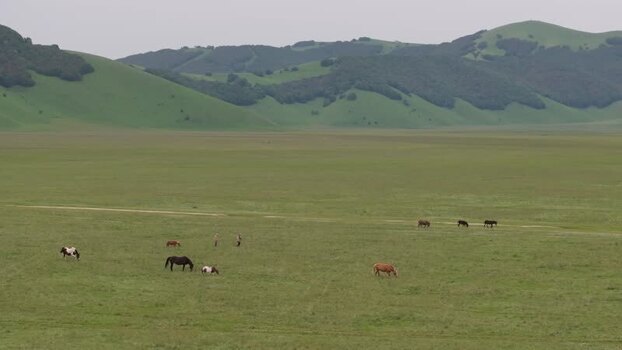 Aerial view of horses grazing in the Piano Grande valley Italy.