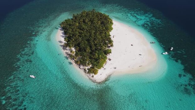Aerial view of a tropical island with palm trees Maldives. Aerial view of a tropical island with palm trees Maldives.