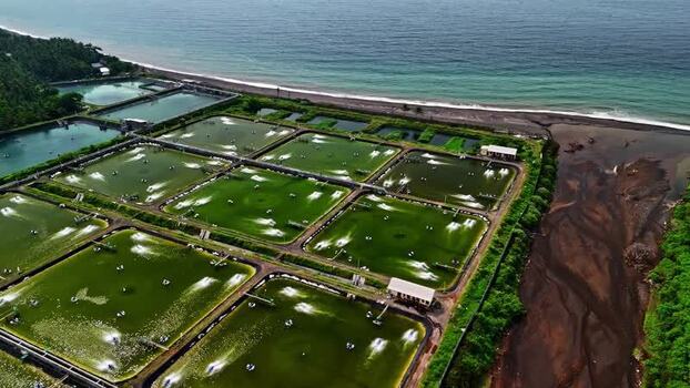 Aerial view of shrimp farm ponds in Bali Indonesia.